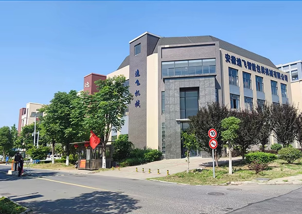 중국 Anhui Yifei Intelligent Packaging Machinery Co., Ltd.