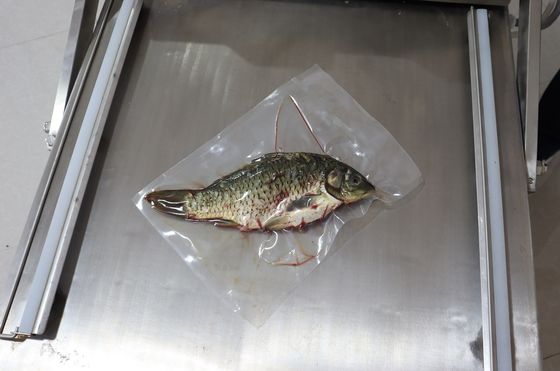 식물, 빵, 생선, 해산물을 위한 전기 구동 듀플 챔버 진공 포장 기계 120kg