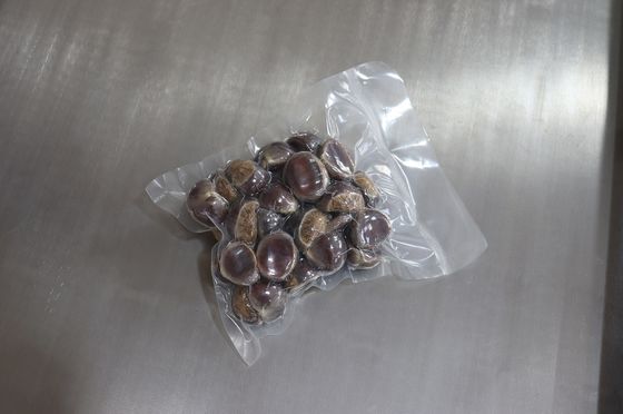 식물, 빵, 생선, 해산물을 위한 전기 구동 듀플 챔버 진공 포장 기계 120kg