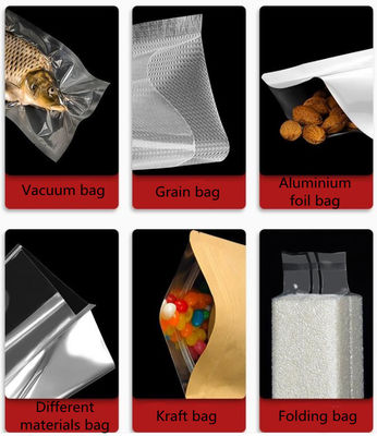 이중실 진공 포장 기계 250kg 용량 및 가스 충전 옵션
