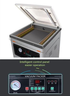 DZ-400 단일 챔버 식물 진공 포장기 식품 저장 봉지 900W 모델