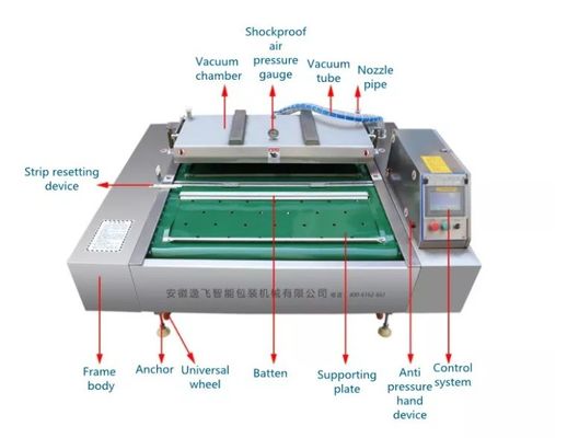 전기 구동 1000 이중 스트립 자동 콩 제품 및 야생 채소 연속 진공 포장 기계