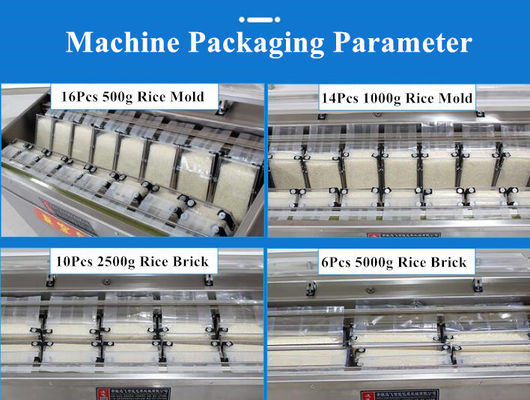 자동 식품 쌀 곡물 채소 쇠고기 생선용 단일 챔버 진공 밀폐기 DZ-850