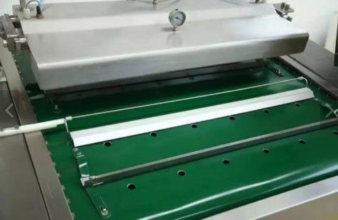 건조된 새우와 연한 살몬을 위한 연속 벨트 타입 롤 진공 포장 기계