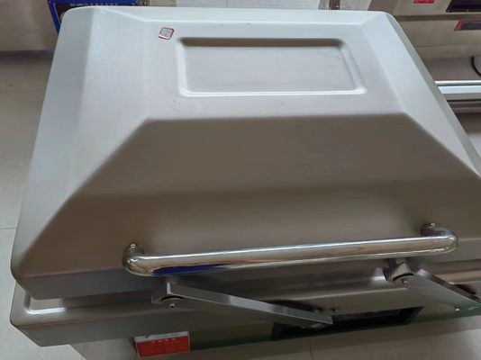DZ-600 / 2SB 1500W 자동 산업 진공 밀폐 기계 식품 콩 쌀 생선